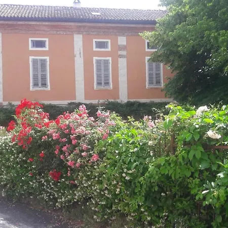 Azienda Agricola Mombisaggio *