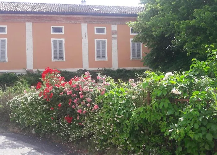 Azienda Agricola Mombisaggio *